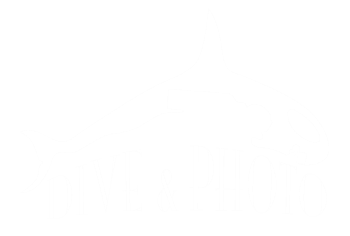 Dive & Photo